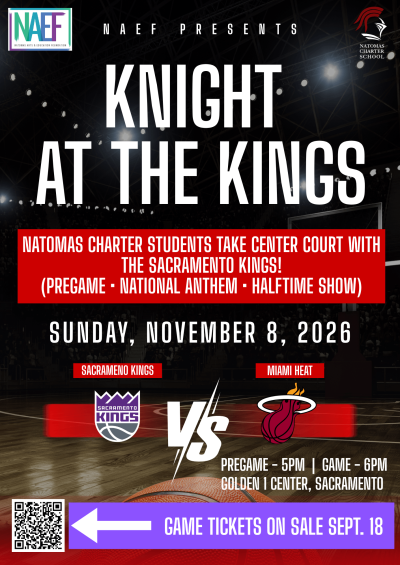 Knight at the Kings Flyer 2026 png